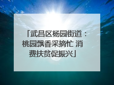武昌区杨园街道：桃园飘香采摘忙 消费扶贫促振兴
