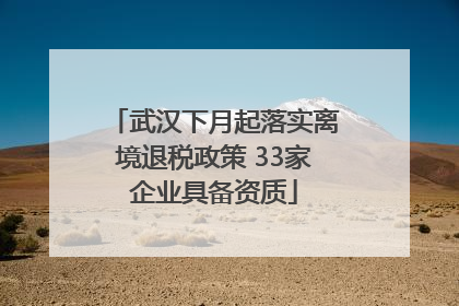 武汉下月起落实离境退税政策 33家企业具备资质