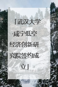 武汉大学·咸宁低空经济创新研究院签约成立