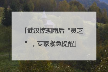 武汉惊现雨后“灵芝”，专家紧急提醒
