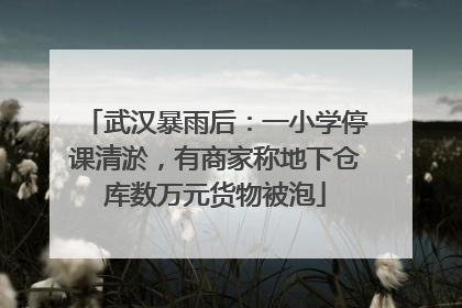 武汉暴雨后：一小学停课清淤，有商家称地下仓库数万元货物被泡
