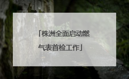 株洲全面启动燃气表首检工作