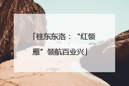 桂东东洛：“红领雁”领航百业兴