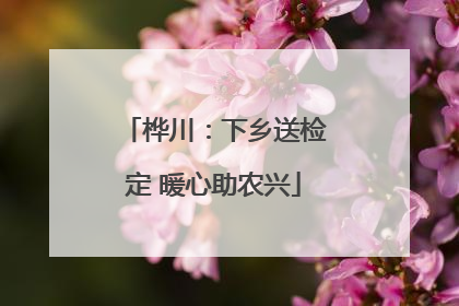桦川：下乡送检定 暖心助农兴