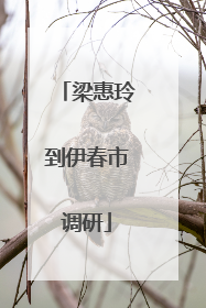 梁惠玲到伊春市调研