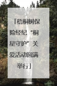 梧桐树保险经纪“桐星守护”关爱活动圆满举行