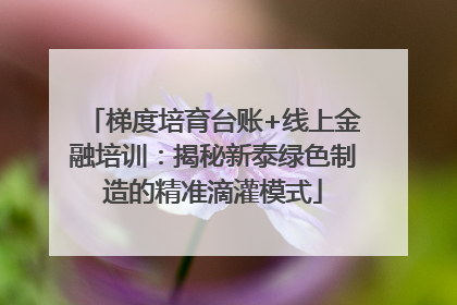 梯度培育台账+线上金融培训：揭秘新泰绿色制造的精准滴灌模式