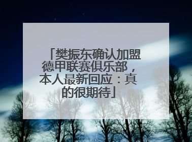 樊振东确认加盟德甲联赛俱乐部，本人最新回应：真的很期待