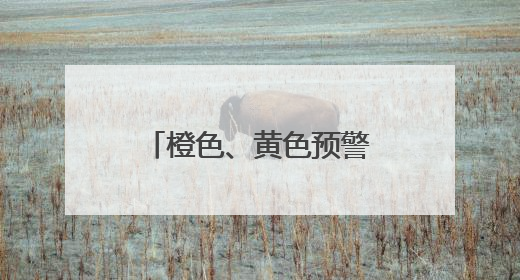 橙色、黄色预警，局地有大暴雨