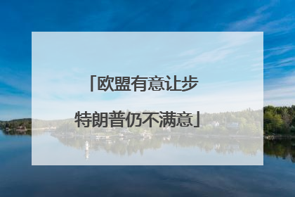 欧盟有意让步 特朗普仍不满意