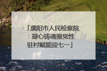 濮阳市人民检察院：凝心铸魂强党性 驻村赋能迎七一