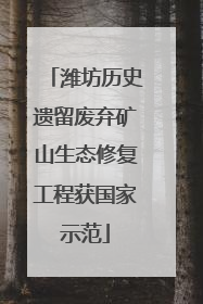 潍坊历史遗留废弃矿山生态修复工程获国家示范