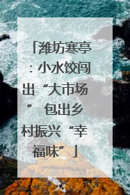 潍坊寒亭：小水饺闯出“大市场” 包出乡村振兴“幸福味”