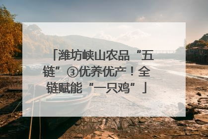 潍坊峡山农品“五链”③优养优产！全链赋能“一只鸡”