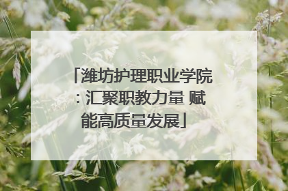 潍坊护理职业学院：汇聚职教力量 赋能高质量发展