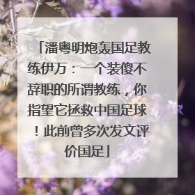 潘粤明炮轰国足教练伊万：一个装傻不辞职的所谓教练，你指望它拯救中国足球！此前曾多次发文评价国足