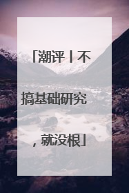 潮评丨不搞基础研究，就没根