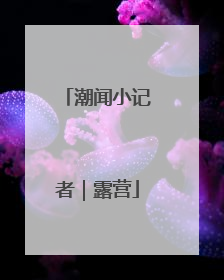潮闻小记者｜露营