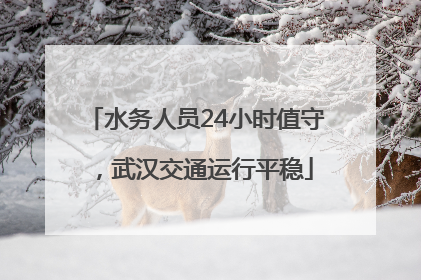 水务人员24小时值守，武汉交通运行平稳