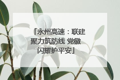 永州高速：联建聚力筑防线 党徽闪耀护平安
