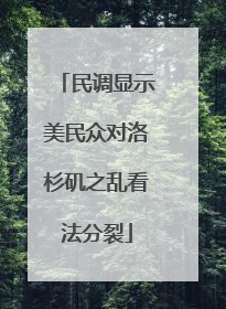 民调显示美民众对洛杉矶之乱看法分裂