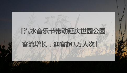 汽水音乐节带动延庆世园公园客流增长，迎客超3万人次