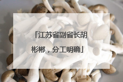 江苏省副省长胡彬郴，分工明确
