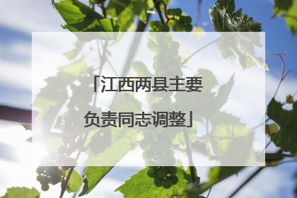 江西两县主要负责同志调整
