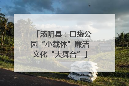 汤阴县：口袋公园“小载体”廉洁文化“大舞台”