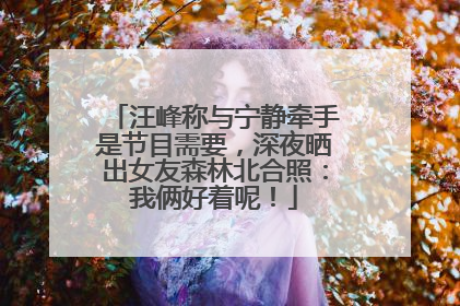 汪峰称与宁静牵手是节目需要，深夜晒出女友森林北合照：我俩好着呢！