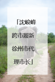 沈峻峰跨市履新徐州市代理市长
