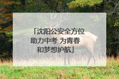 沈阳公安全方位助力中考 为青春和梦想护航