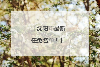 沈阳市最新任免名单！