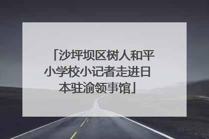 沙坪坝区树人和平小学校小记者走进日本驻渝领事馆