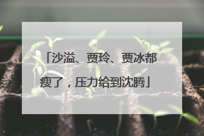 沙溢、贾玲、贾冰都瘦了，压力给到沈腾