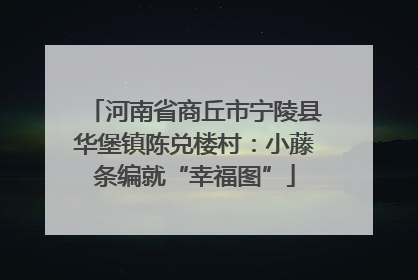 河南省商丘市宁陵县华堡镇陈兑楼村：小藤条编就“幸福图”