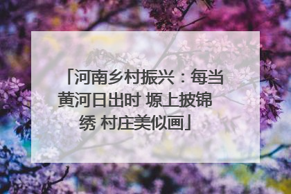 河南乡村振兴：每当黄河日出时 塬上披锦绣 村庄美似画