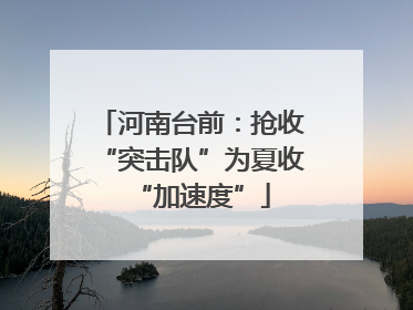 河南台前：抢收“突击队”为夏收“加速度”
