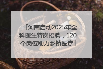河南启动2025年全科医生特岗招聘，120个岗位助力乡镇医疗