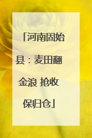 河南固始县：麦田翻金浪 抢收保归仓