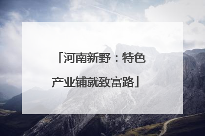 河南新野：特色产业铺就致富路
