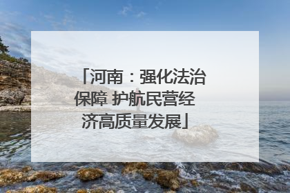 河南：强化法治保障 护航民营经济高质量发展