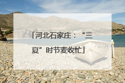 河北石家庄：“三夏”时节麦收忙
