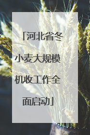 河北省冬小麦大规模机收工作全面启动