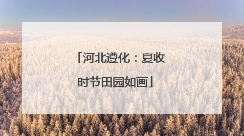 河北遵化：夏收时节田园如画