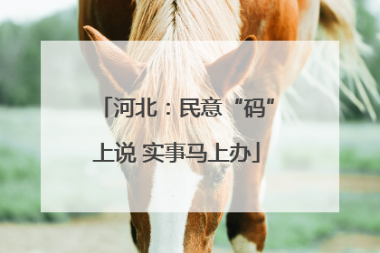 河北：民意“码”上说 实事马上办