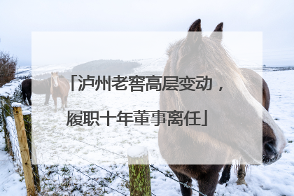 泸州老窖高层变动，履职十年董事离任