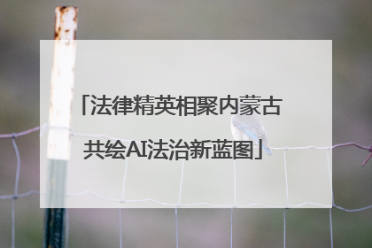 法律精英相聚内蒙古 共绘AI法治新蓝图