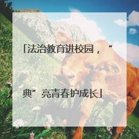 法治教育进校园，“典”亮青春护成长