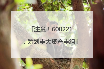 注意！600221，筹划重大资产重组